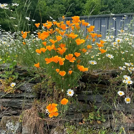 Maison Authentique En Bord De Meuse Дом отдыха *